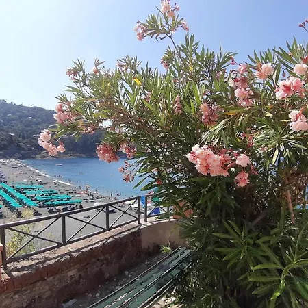 Ferienwohnung Fur 4 Personen Ca 60 M In Bonassola, Italienische Riviera Italienische Westkuste